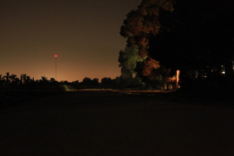Dogwood Border Wall - Night Survey 