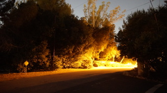 Enlarge photo 23