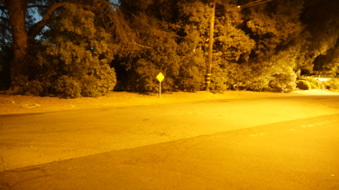 Enlarge photo 25