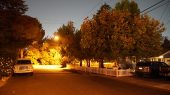 Enlarge photo 12