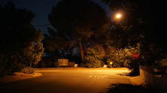 Enlarge photo 14