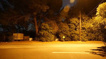 Enlarge photo 15
