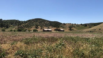 Enlarge photo 16