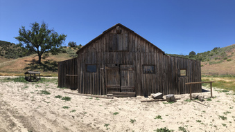 Enlarge photo 41