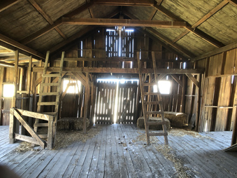 Enlarge photo 43