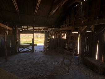 Enlarge photo 45