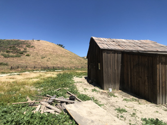 Enlarge photo 47