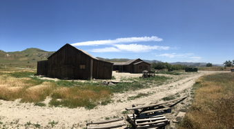 Enlarge photo 49