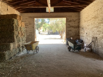 Enlarge photo 47