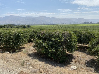 Enlarge photo 18