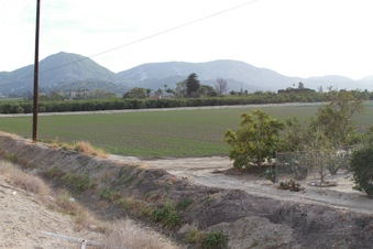 Enlarge photo 6
