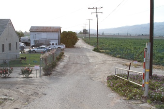 Enlarge photo 9