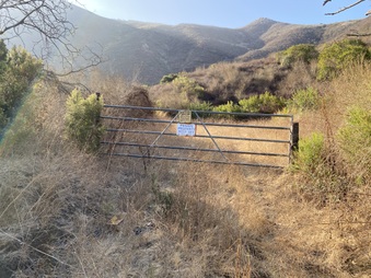 Enlarge photo 33