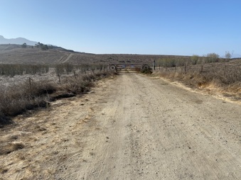 Enlarge photo 38