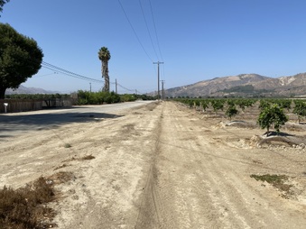 Enlarge photo 11