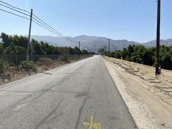 Enlarge photo 16