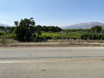 Enlarge photo 8