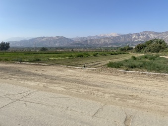 Enlarge photo 25