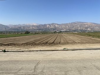 Enlarge photo 27