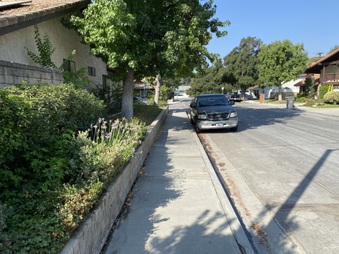 Enlarge photo 12