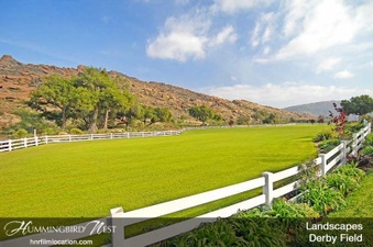 Enlarge photo 130