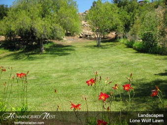 Enlarge photo 156