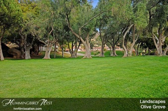 Enlarge photo 157