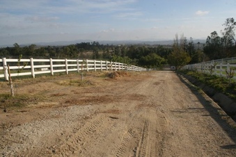 Enlarge photo 99