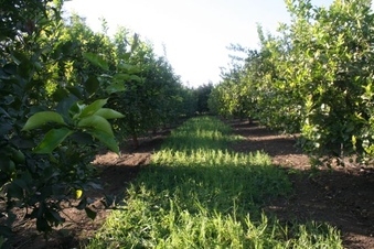 Enlarge photo 167