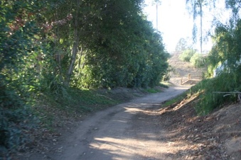 Enlarge photo 197