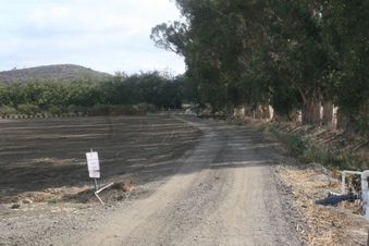 Enlarge photo 7