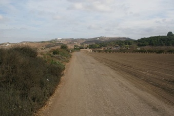 Enlarge photo 10