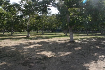 Enlarge photo 19