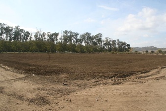 Enlarge photo 26