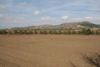 Enlarge photo 29