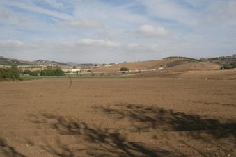 Enlarge photo 30