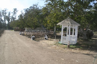 Enlarge photo 31
