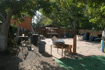 Enlarge photo 37