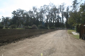 Enlarge photo 39