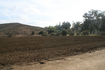 Enlarge photo 40