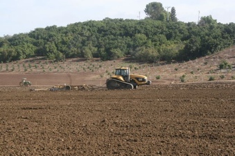 Enlarge photo 41