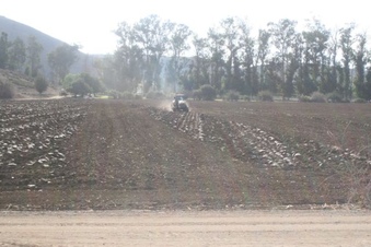 Enlarge photo 42