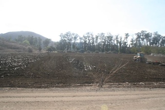 Enlarge photo 46