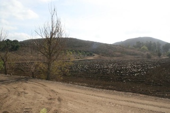 Enlarge photo 47
