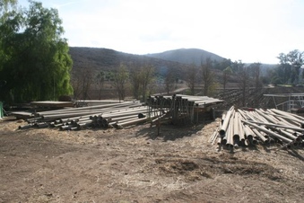 Enlarge photo 59