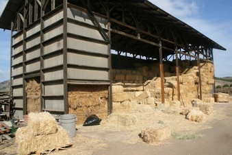Enlarge photo 62