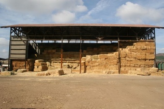 Enlarge photo 63