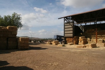 Enlarge photo 64