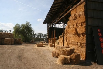 Enlarge photo 67
