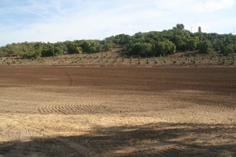 Enlarge photo 71